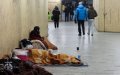 Homeless Deaths in Brussels Surge: Moroccan Migrants Among 762 Fatalities in 15 Years