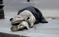 Homeless Moroccan Man Found Dead in Central Paris Tent, Cause Unknown