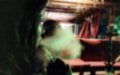 Hospital Scandal: Nurses and Foreigners Arrested for Misconduct in Moroccan Medical Facility