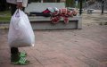 Hundreds of Moroccan Minors Still Stranded in Ceuta After Mass Migration