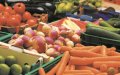 EU Imports of Moroccan Produce Surge: Tomatoes Lead 9% Growth in 2020