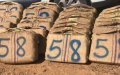 International Drug Ring Busted in Agadir: Six Arrested, Over 1 Ton of Cannabis Seized