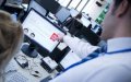 Interpol Fugitive Arrested in Morocco: French-Algerian Drug Trafficking Suspect Caught in Ceuta