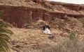 The 'invasion' of Moroccan territories by the Algerian army reaches parliament