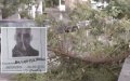 Italian Officials Face Charges After Moroccan Man Killed by Falling Tree at Naples Racetrack