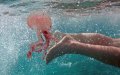 Jellyfish Swarm Northern Morocco Beaches, Stinging Tourists as Mediterranean Warms