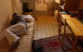 Judicial Error Frees Moroccan Drug Trafficker from Belgian Prison Sentence