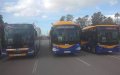 Kenitra Unveils Fleet of 138 Locally-Made Buses to Tackle Urban Transport Crisis