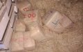 Laâyoune Police Seize Firearm and Drugs, Arrest Two in Trafficking Case