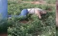 Landowner Runs Over Local Official in Violent Property Dispute in Morocco