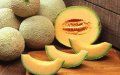 Leclerc Recalls Moroccan Melons Over Pesticide Contamination in Multiple French Regions