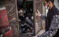 Libya Deports 15 Moroccan Migrants in Latest Expulsion