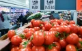 Made in Morocco" Floods Europe: How Moroccan Tomatoes Are Catching Up to Spain