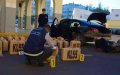 Major Drug Bust in Casablanca: Over 1 Ton Seized, 3 Suspects Arrested