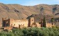 Man Arrested for Killing Father Over Land Dispute in Morocco
