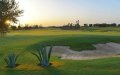 Marrakech Hosts Global Golf Tourism Summit, Aims to Boost Visitor Numbers