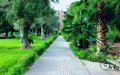 Marrakech Residents Demand More Green Spaces Amid Drought and Urban Neglect