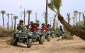 Marrakech Restaurant Owners Demand Crackdown on Illegal Quad Tours Amid Health Concerns