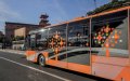 Marrakech to Upgrade Public Transport with New Bus Fleet