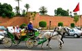 Marrakech's Iconic Jemaa El-Fna Square to Remove Horse-Drawn Carriages, Sparking Controversy