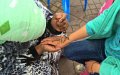Marrakech's Jemaa el-Fna Square: Henna Artists' Aggressive Tactics Alarm Tourists