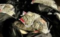 Massive Cannabis Bust: 720 kg Seized in High-Speed Chase Near Montauban