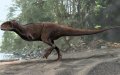 Massive Dinosaur Fossils Unearthed in Morocco's Kem Kem Region
