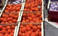 Massive Drug Bust: 4 Tons of Hashish Hidden in Oranges Seized at Moroccan Port