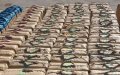 Massive Drug Bust in Morocco: 4.6 Tons of Cannabis Seized Near Nador