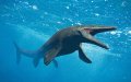 Massive Prehistoric Sea Monster Discovered in Morocco and Japan