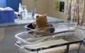 Meningitis Outbreak Prompts Health Alert in Agadir Region, Morocco