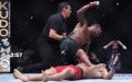 Michael Johnson Knocks Out Ottman Azaitar in First Round of UFC Bout