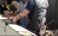 Migrants Found Hidden in Scrap Metal Truck Bound for Spain