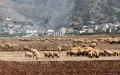 Minor Earthquake Strikes Northern Morocco's Al Hoceima Province