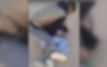 Minors Arrested in Morocco for Filming and Sharing Sexual Assault on Social Media