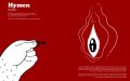Moroccan Activists Launch Online Dictionary to Combat Harmful Virginity Test Practices