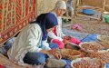 Moroccan Argan Oil Industry Faces Growing Global Competition
