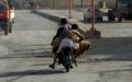 Moroccan Authorities Bust Sheep Theft Ring in Driouch Province, 7 Suspects Arrested