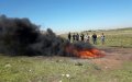 Moroccan Authorities Destroy Nearly 2 Tons of Cannabis in Laâyoune Crackdown