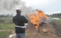 Moroccan Authorities Incinerate 3.6 Tons of Seized Drugs in Ouarzazate