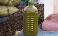 Moroccan Authorities Seize 10 Tons of Adulterated Olive Oil, Arrest Three in Trafficking Bust