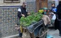Moroccan Authorities Struggle to Curb Persistent Street Vending