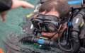 Moroccan and British Navies Conduct Joint Diving Exercises in Gibraltar