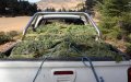 Moroccan Cannabis Advocate Opposes Recreational Legalization, Citing UN Convention