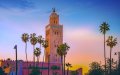 Moroccan Cities Face Backlash Over Palm Tree Planting, Environmental Groups Urge Native Shade Trees