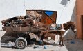 Moroccan City Bans Animal-Drawn Carts on Major Roads to Improve Safety and Cleanliness