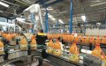 Moroccan Cooking Oil Prices Surge Amid Global Raw Material Cost Spike