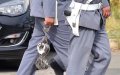 Moroccan Court Sentences Gendarmes to 9 Years for Falsifying Reports