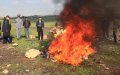 Moroccan Customs Burn 14 Tons of Drugs in Massive Dakhla Seizure