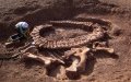 Moroccan Customs Seize 780 kg of Prehistoric Bones and Fossils in Smuggling Crackdown